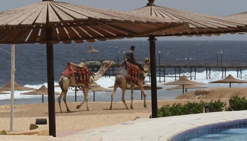 El Qoseir Life Resort Coral Hills מראה חיצוני תמונה